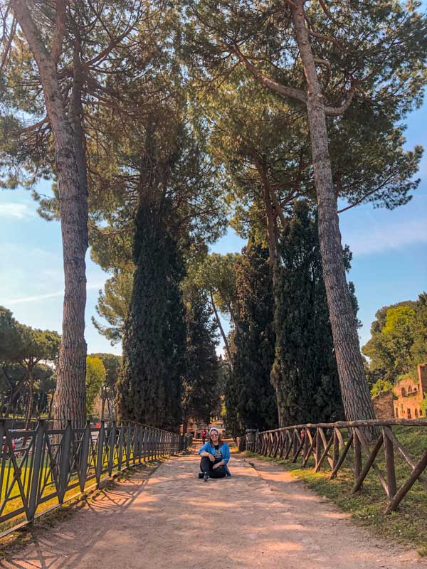 O que fazer em Roma: um caminho arborizado na saída do fórum romano a caminho do Monte Palatino